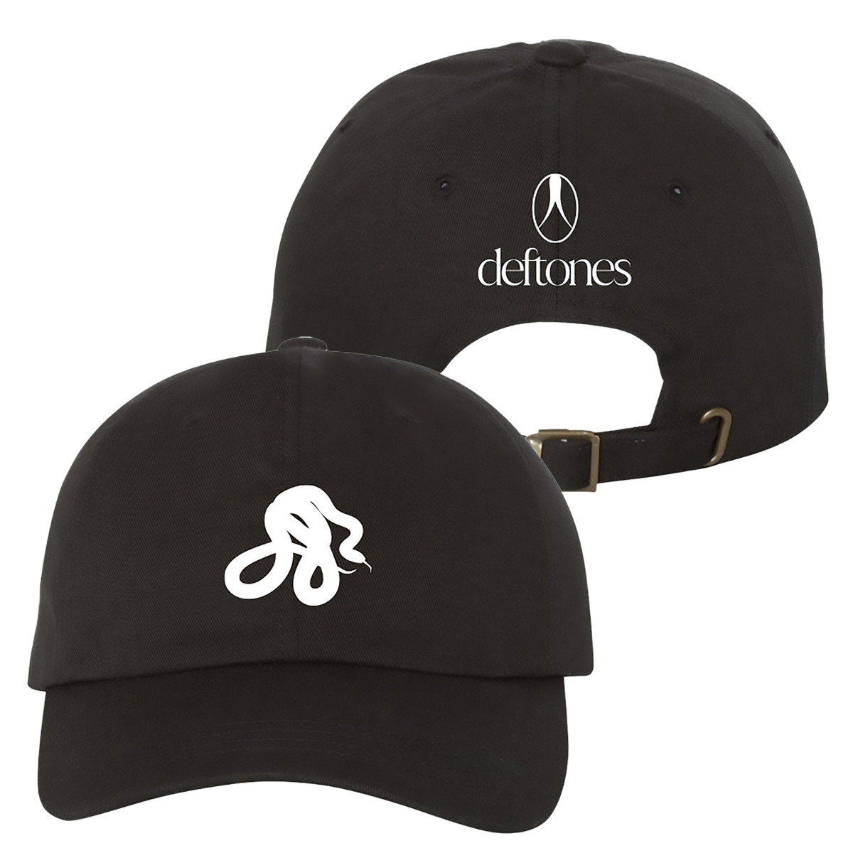snake embroidered hat